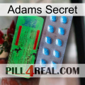 Adams Secret new03